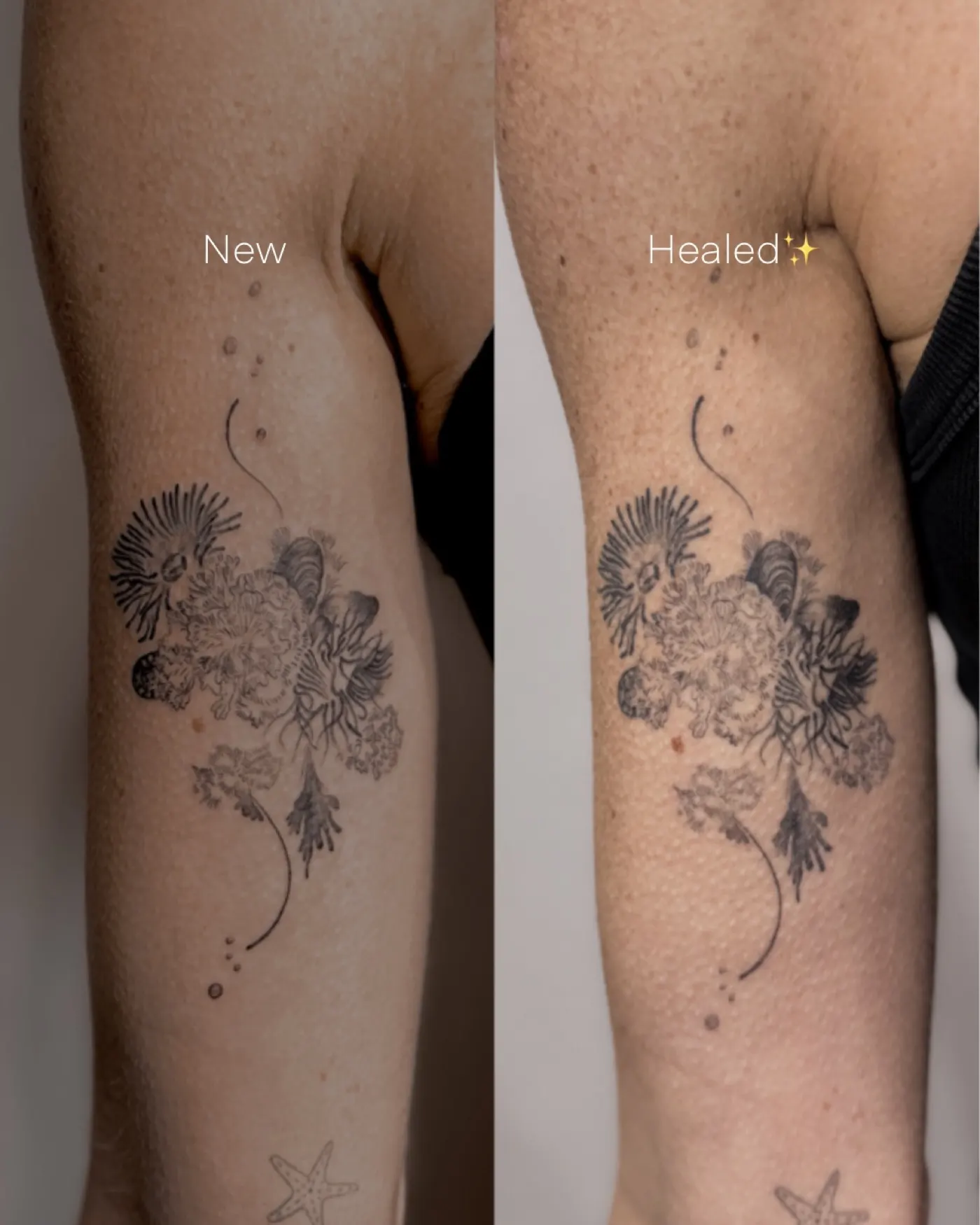 Healed tattoo by Liahn — 01