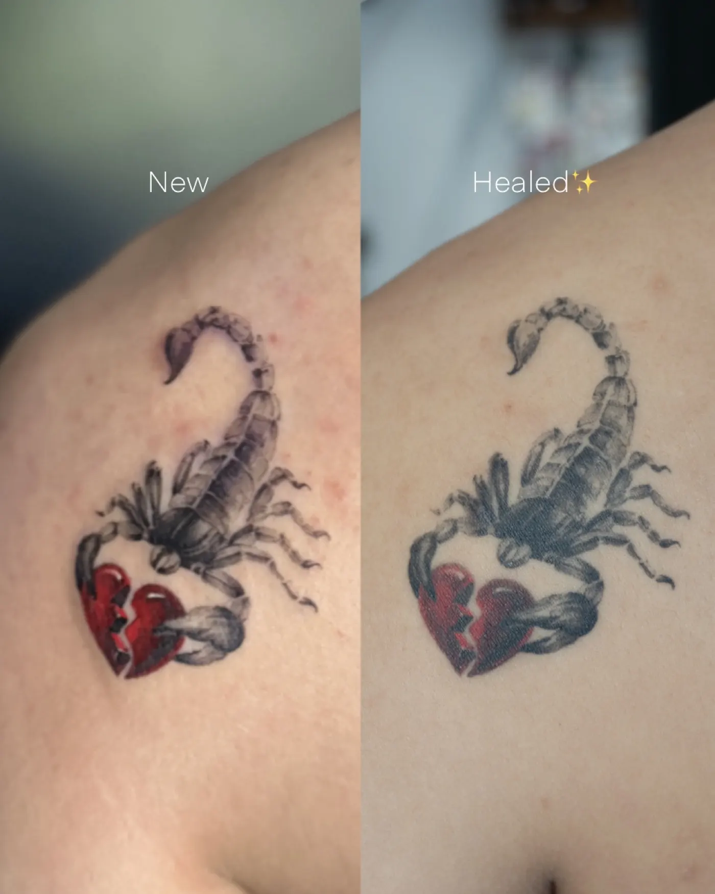 Healed tattoo by Liahn — 03